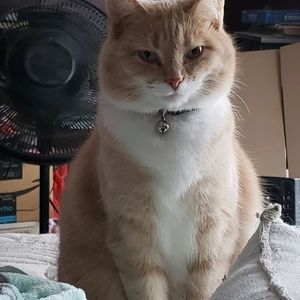 Meet your Posher, Kim